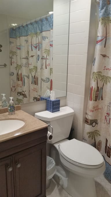 Guest bath