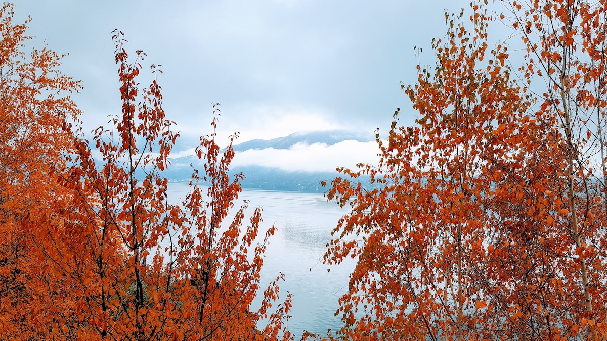 A serene view of Lake Como is framed by vibrant autumn foliage. The bright orange leaves contrast against the calm lake waters and distant mountains, partially shrouded in soft mist. The overall scene captures the tranquil beauty of the surrounding landscape.