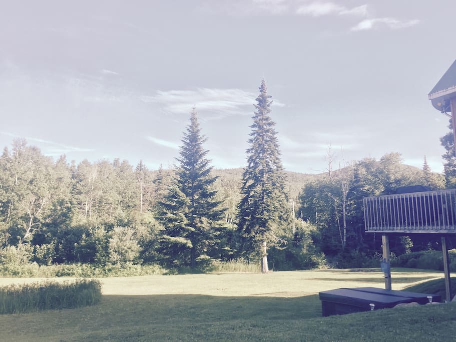 Photo terrain avant de la résidence en été