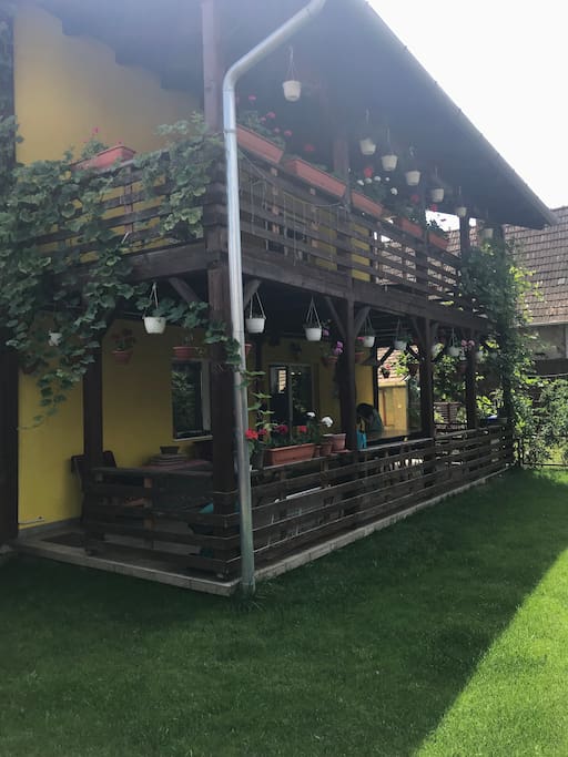 Yard with House View