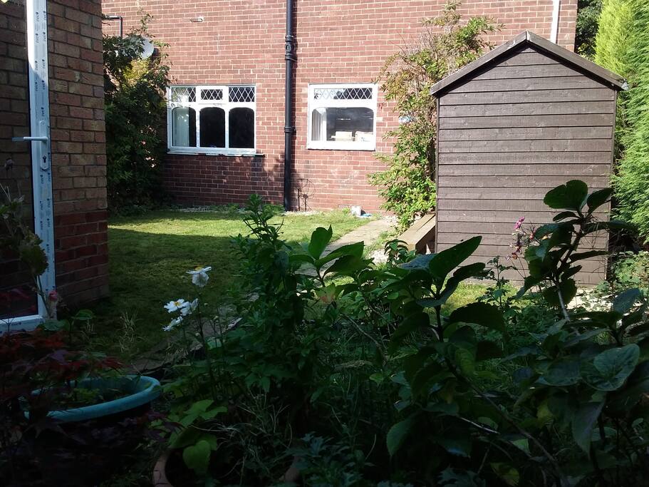 Back Garden