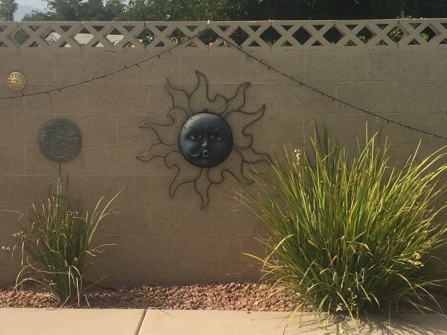 Fun in the sun in my welcoming back yard!