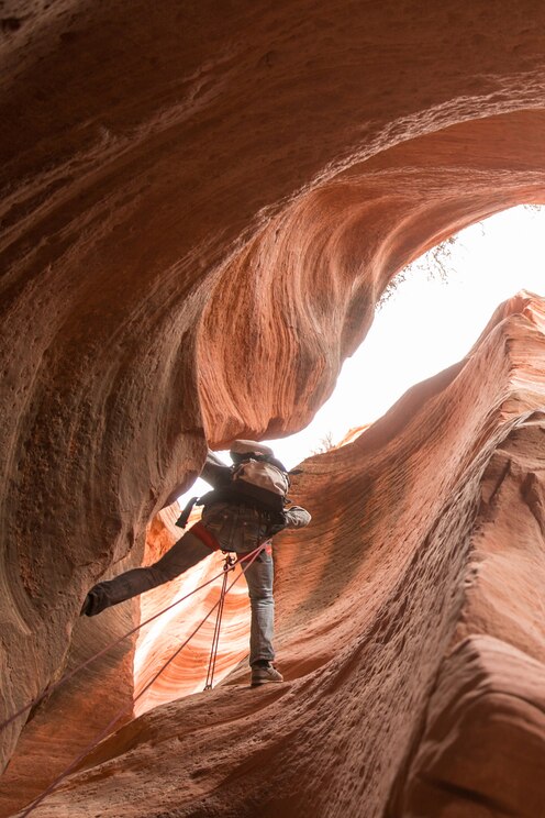 Show full-screen, host-provided image