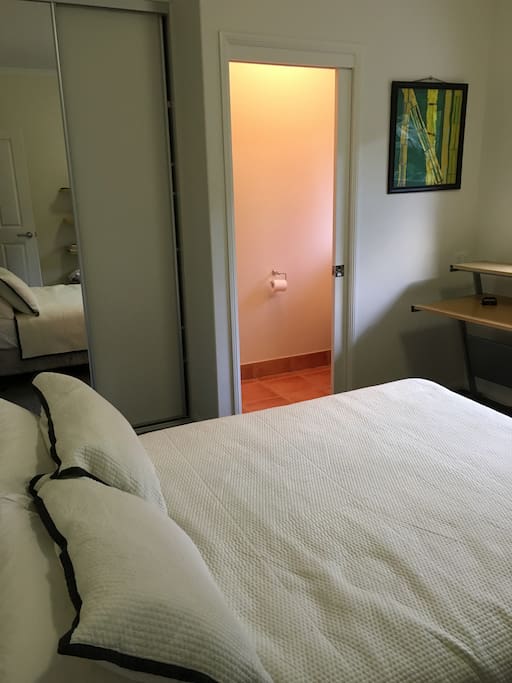 The bedroom actually has a toilet connected to it. Desk is provided.