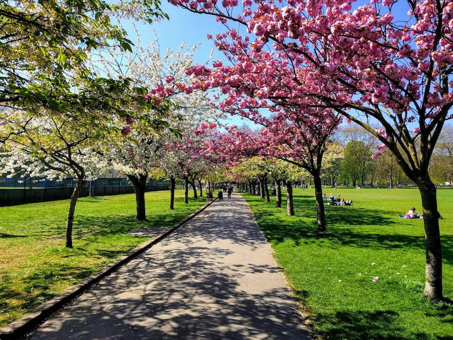 Battersea Park (1 minute walk)