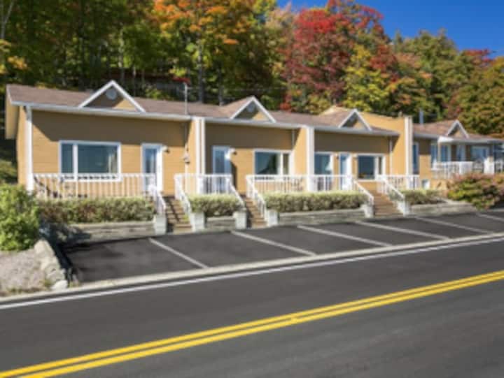 1.5 km from Le Massif de Charlevoix facing StLaurent 4 Apartments