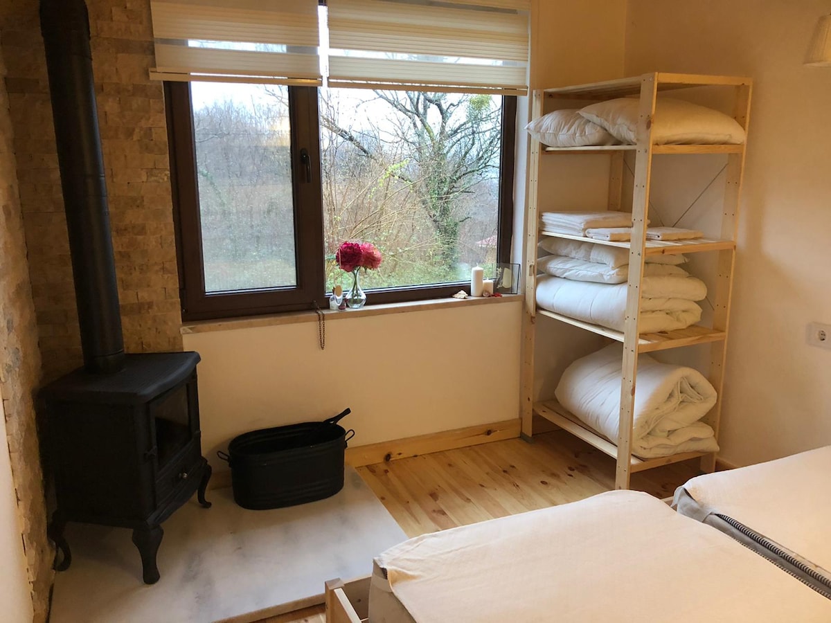 Çiftlik Evi ve Ormanda bir Kabin