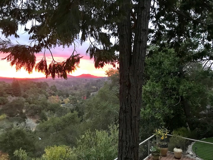 10 Best Airbnb Vacation Rentals In Orinda, California Updated 2024 Trip101