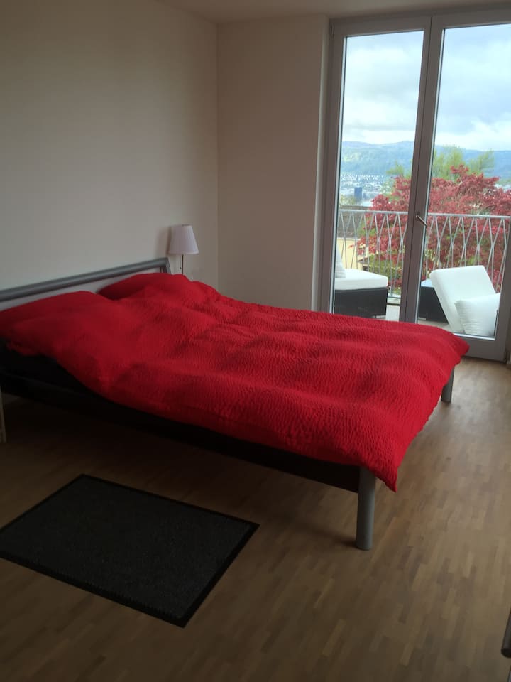 Zürich Vacation Rentals & Homes Zurich, Switzerland Airbnb