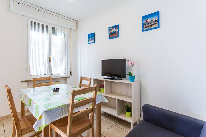 Casa Vacanze Rimini Mare N° 12  R-t-a Kimba - Riccione
