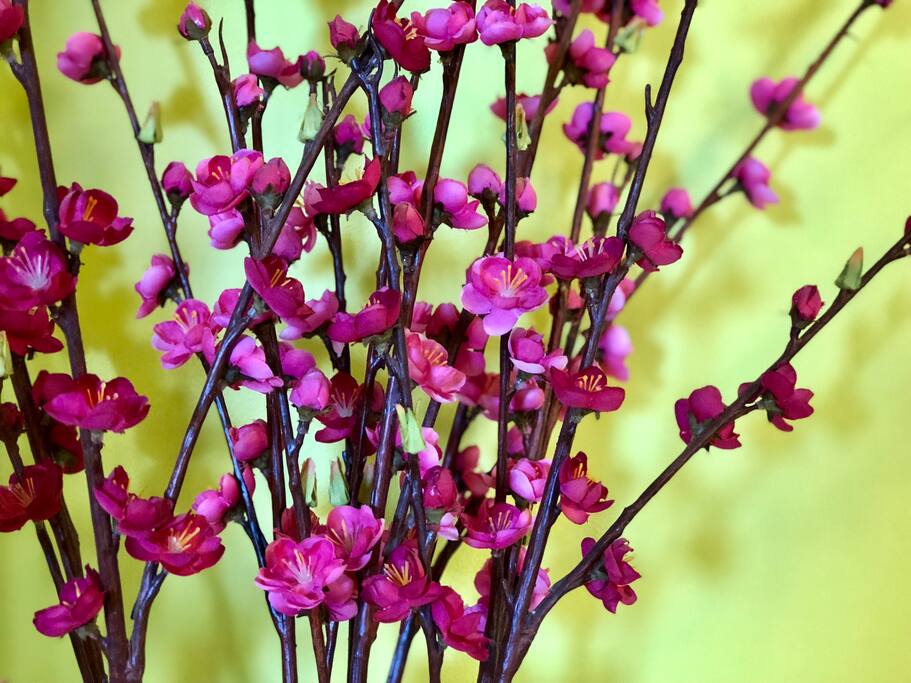 These gorgeous flowers will brighten your day. (King Room)