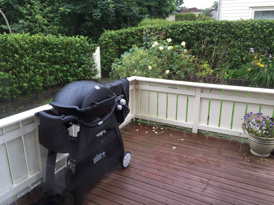 Hagen går også langs husveggen bak grillen