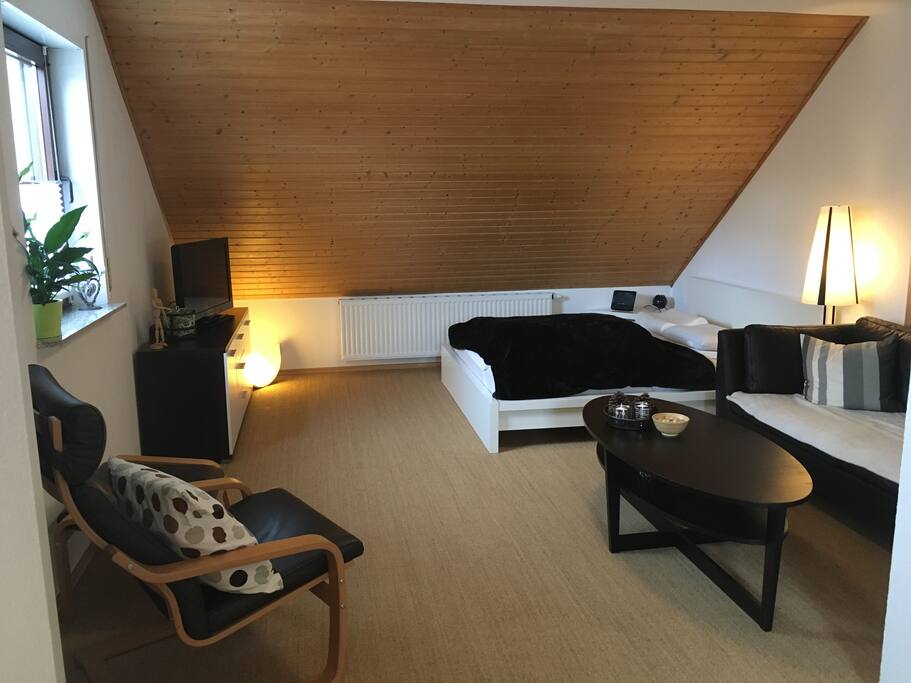 Die Ferienwohnung hat eine Größe von ca. 30qm und ist mit einem Doppelbett (Breite 1,60m) mit durchgehender Matratze sowie einer hochwertigen Ledercouch ausgestattet. Hell und gemütlich wirkt die kleine Wohnung durch die Dachschräge und das rustikale Holzdesign, welches sich in Balken und Mobiliar wiederfindet. Das Hab und Gut der Gäste findet in 2 schmalen Kleiderschränken und einem Sideboard Platz. Hier verstecken sich auch ein paar Spiele zum Zeitvertreib sowie unsere Infomappe mit Hinweisen rund um die Wohnung und Anregungen für Ausflüge.