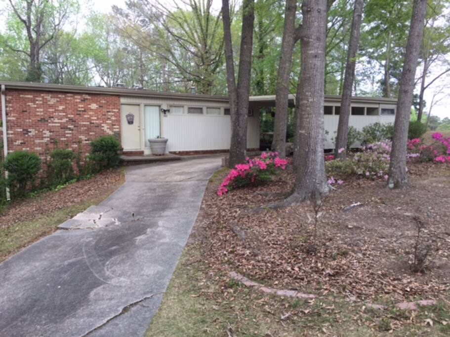 Driveway to front of house.
