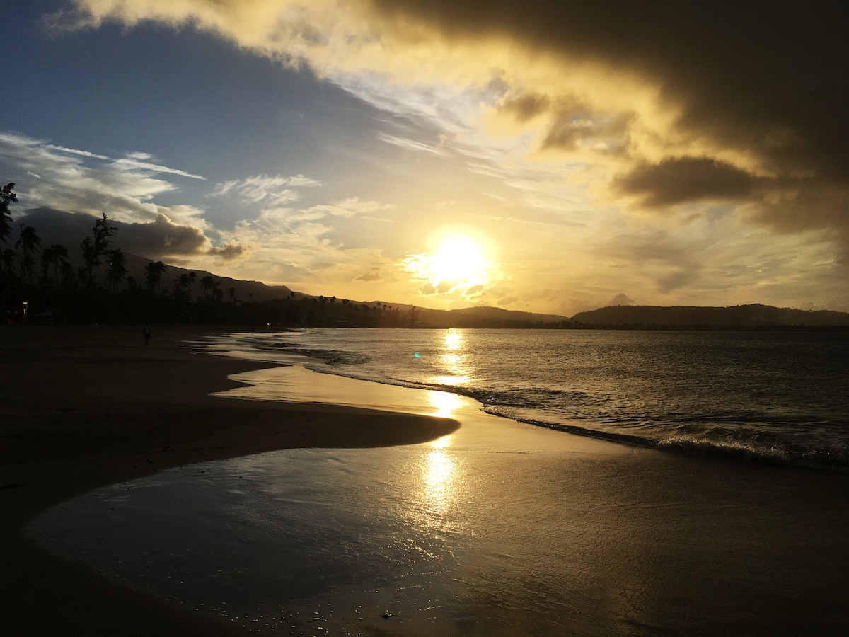 A serene beach scene is captured at sunset, showcasing gentle waves lapping against the shore. The sky is painted with warm hues of orange and gold, reflecting on the wet sand. Silhouettes of palm trees line the beach, adding to the tranquil atmosphere.