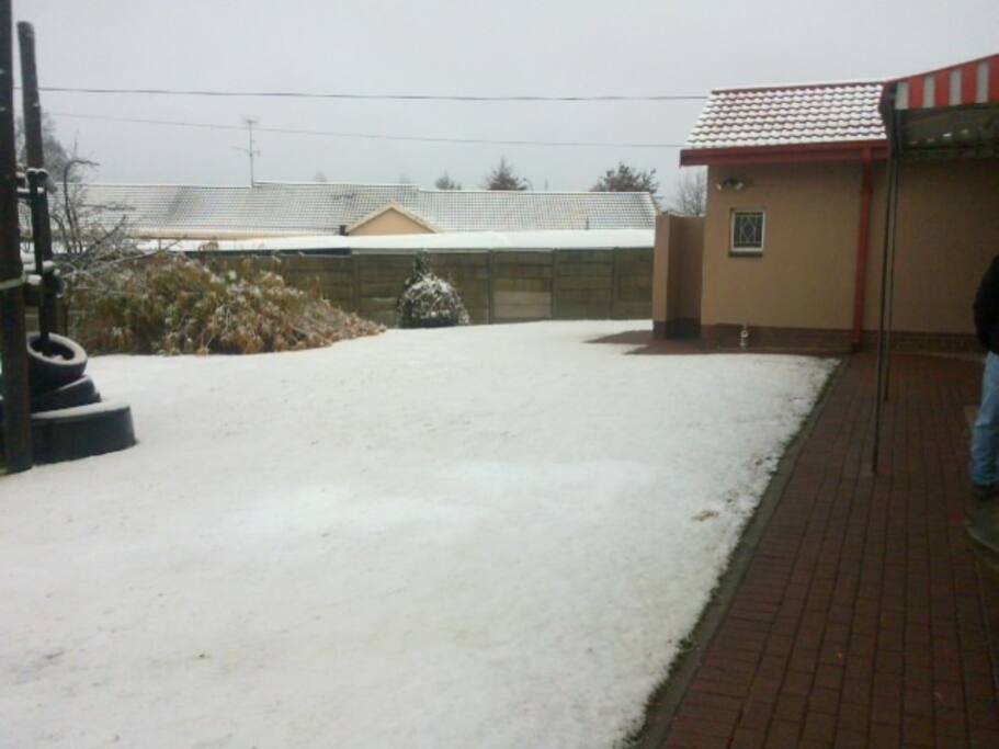 Back yard