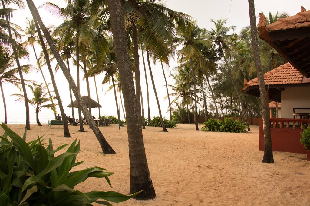 View of the Cottage from the Beach