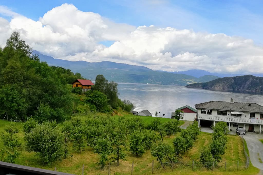 Panorama view from the terrasse of the Hardangerfjord.