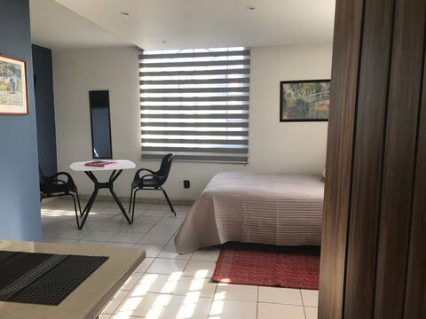 Luxury downtown studio 302