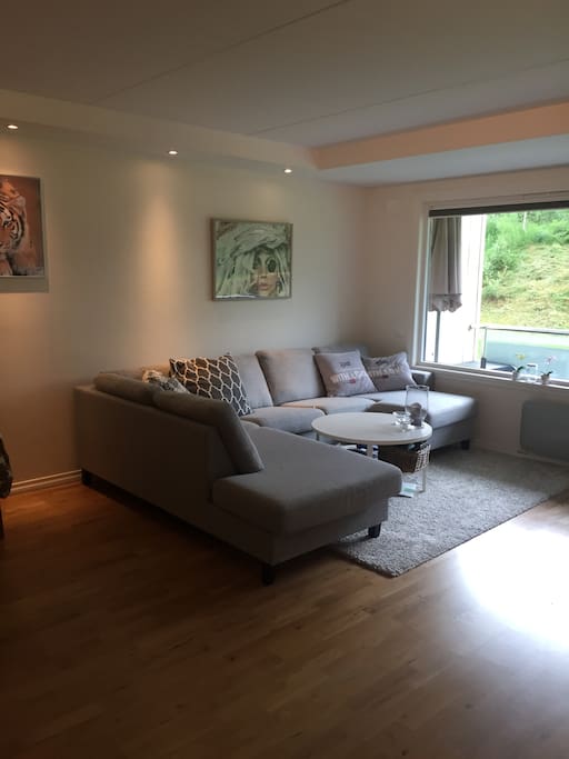 Romslig stue med stor sofa.