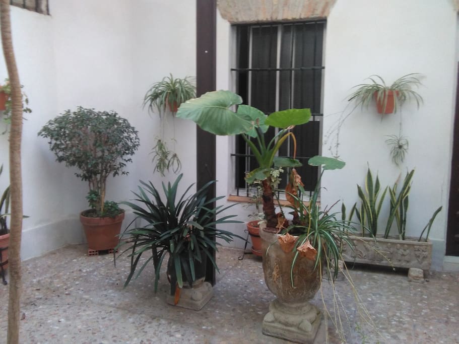 Inner patio