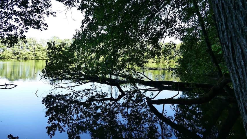 Peaceful country in Angermünde suite