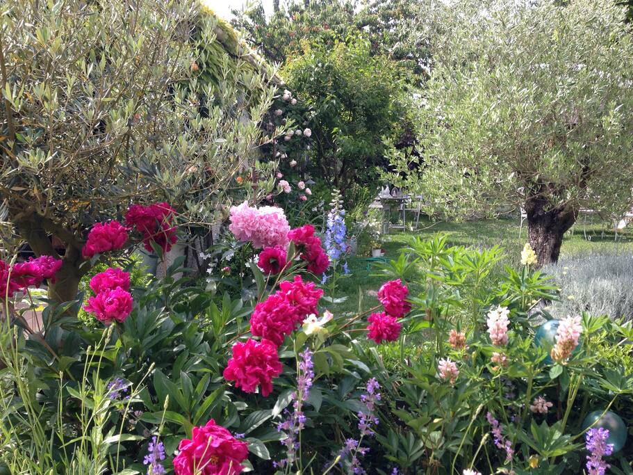 Jardin arboré