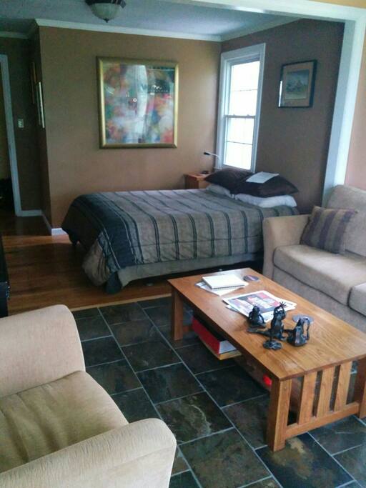 Spacious room with a comfortable queen bed.
