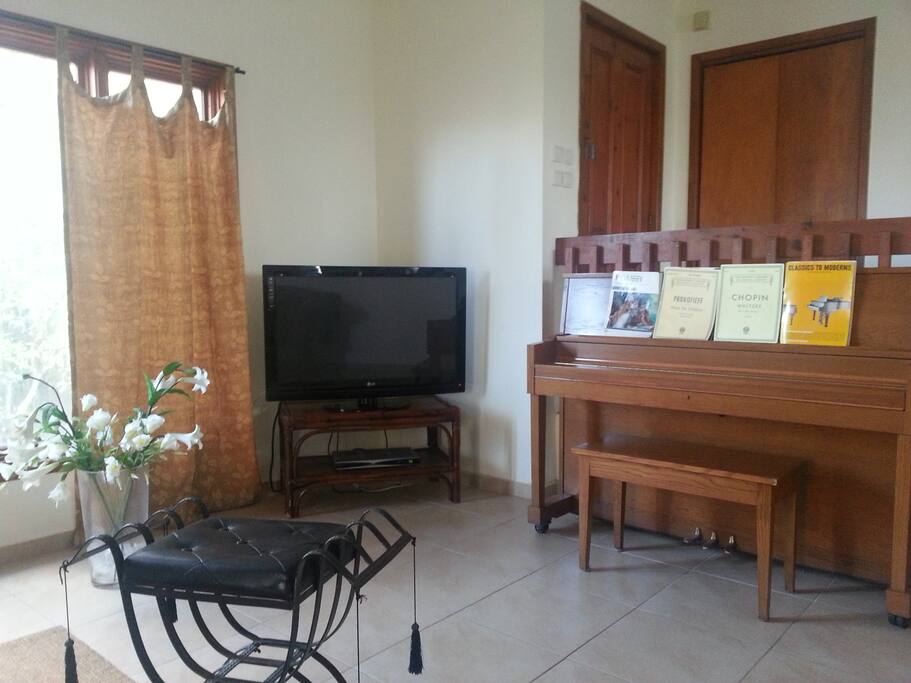Living room, looking to the south