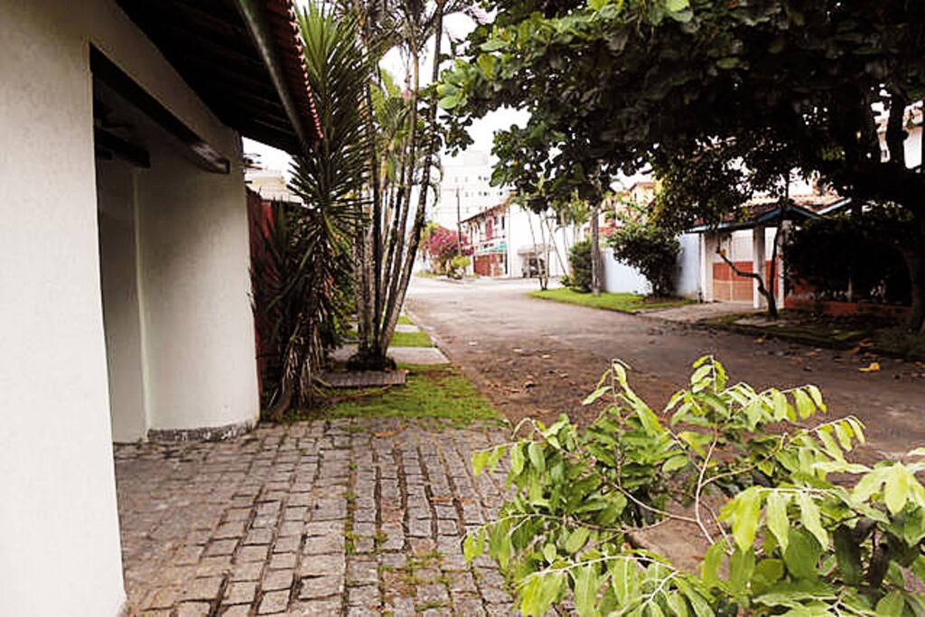Rua tranquila e arborizada, em área residencial.