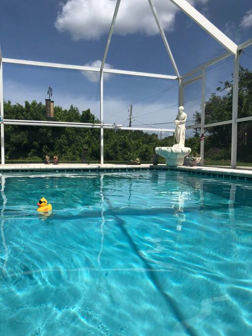 Rubber duck, how warm is the water?