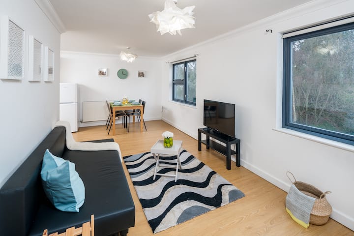 Modern 1bed flat in London, Kensal Rise