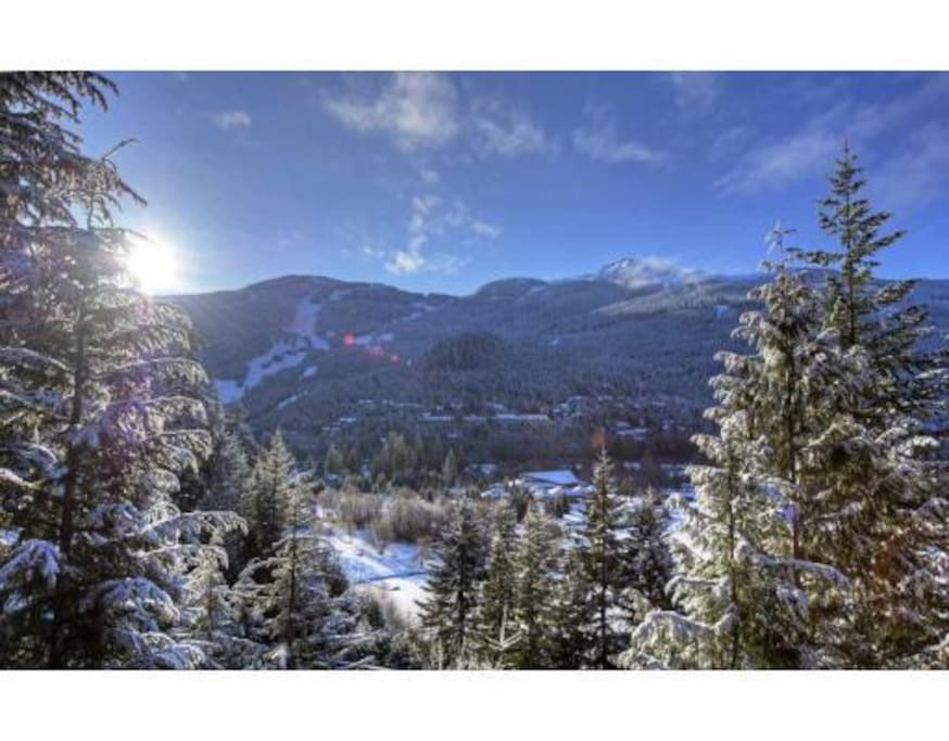 Winter wonderland! Views from the deck