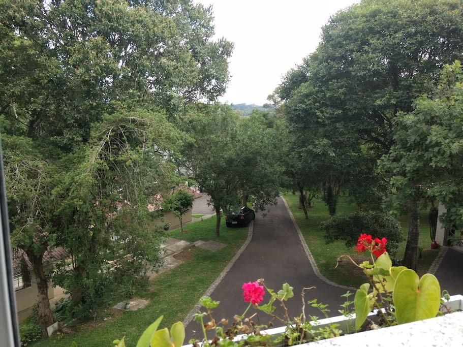 vista do quarto de hóspedes