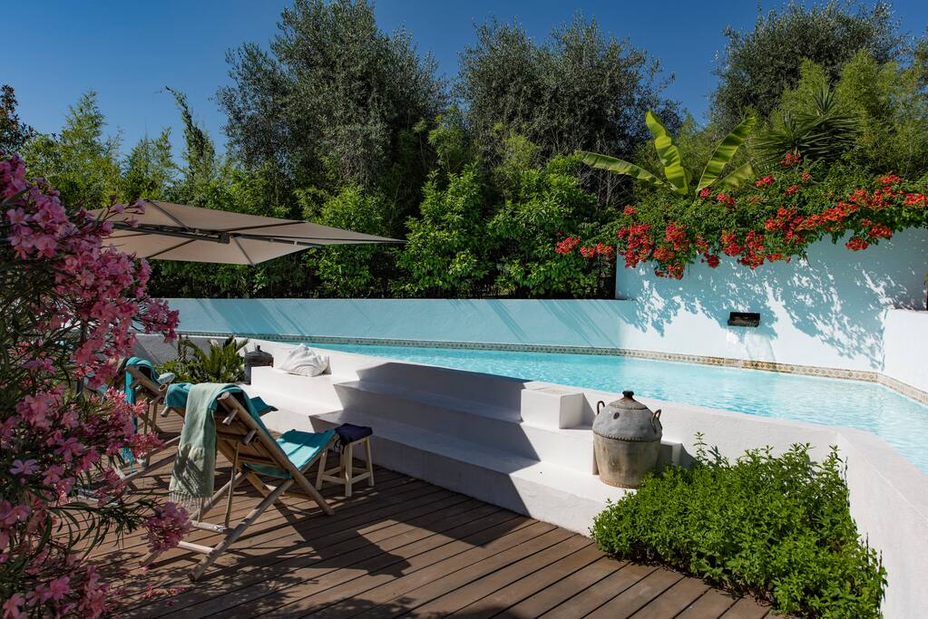 baignade, bain de soleil, ou lecture à l'ombre du sophora, au choix