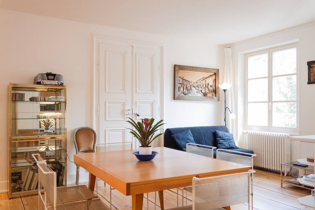 Lovely 3 bedroom historic center Apartments for Rent in Strasbourg