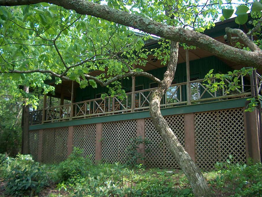 Moore's Mill