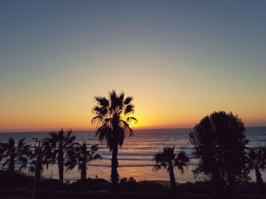 Enjoy the sunset