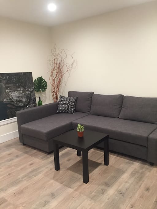 Sofa bed that turns into a queen to comfortable fit 2