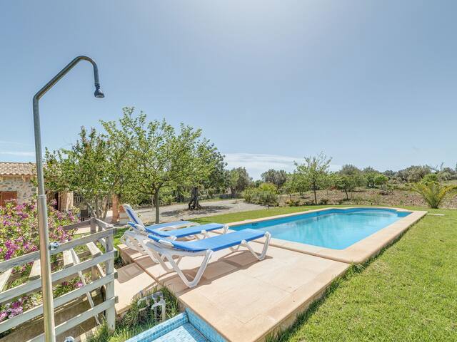 Mamici gallery image 2