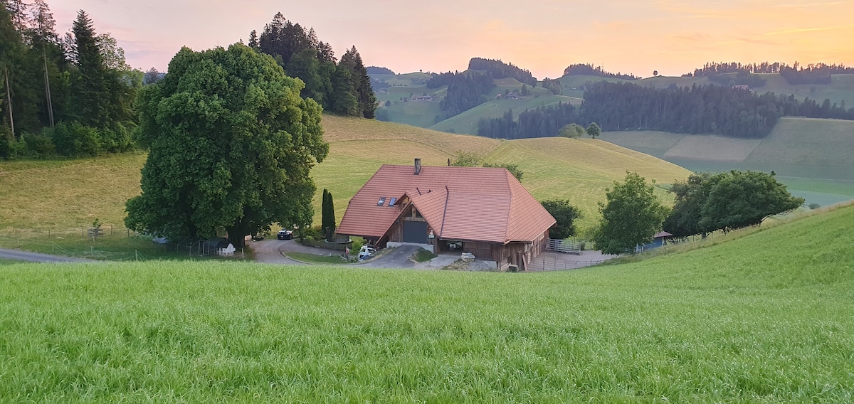 A spacious farmhouse is nestled in lush green fields, surrounded by rolling hills and dense trees. The warm glow of sunset gently illuminates the landscape, highlighting the tranquil rural setting with open space stretching in all directions.