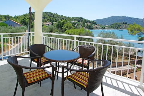 Comfort Villa steps from the Beach