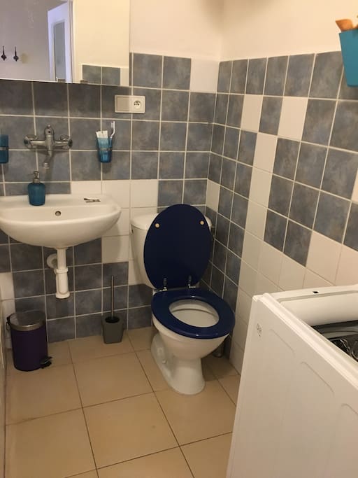 Bathroom & Toilet
