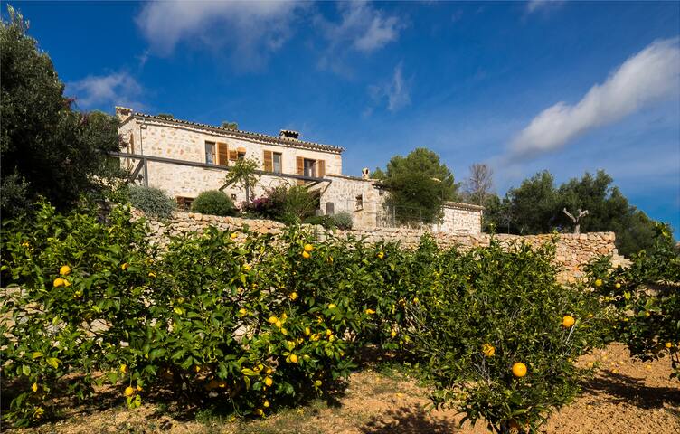 Taylan & Guille managed Airbnb listing 3