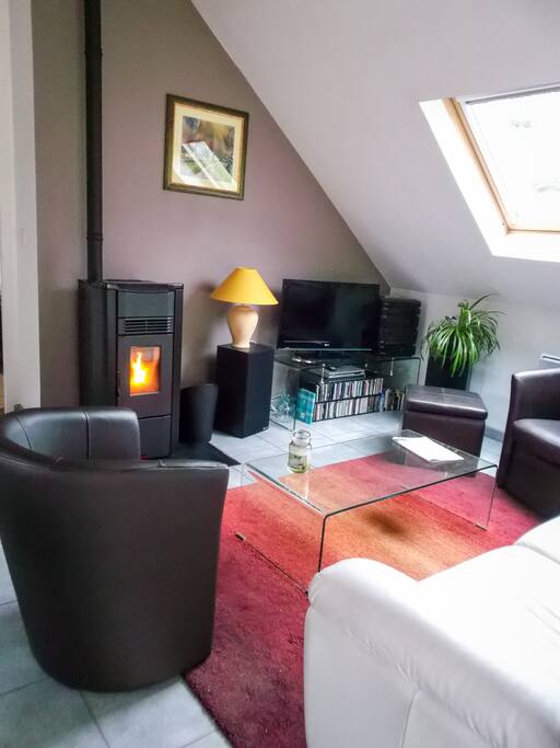 Salon commun avec poêle, TV, lecteur DVD, Wifi, chaine.