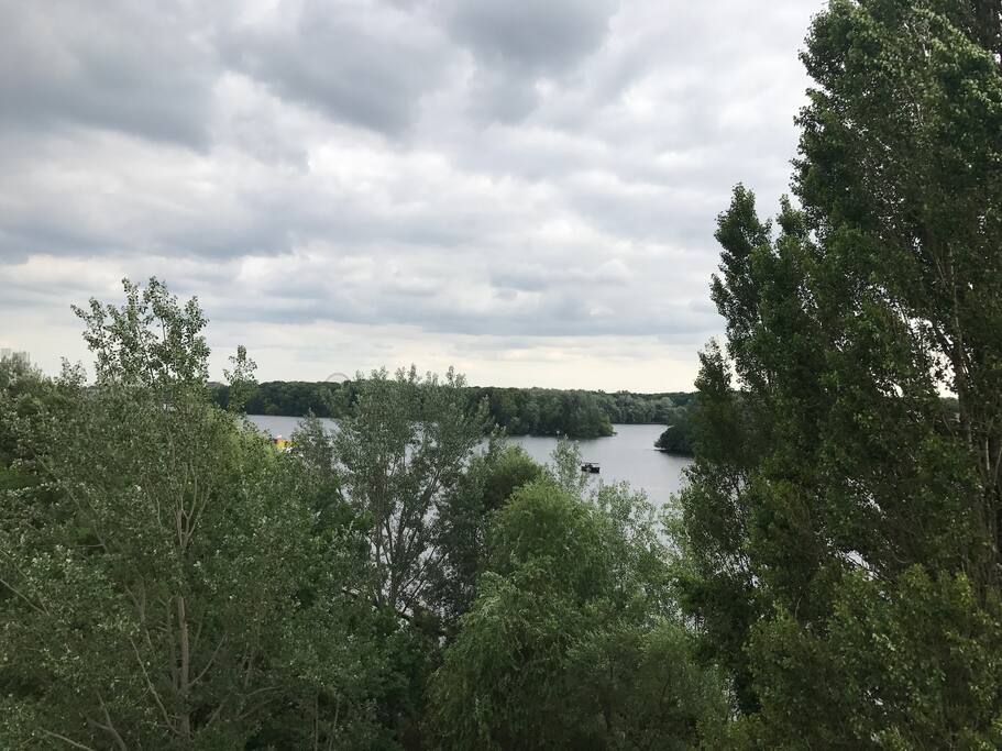 view from the roof