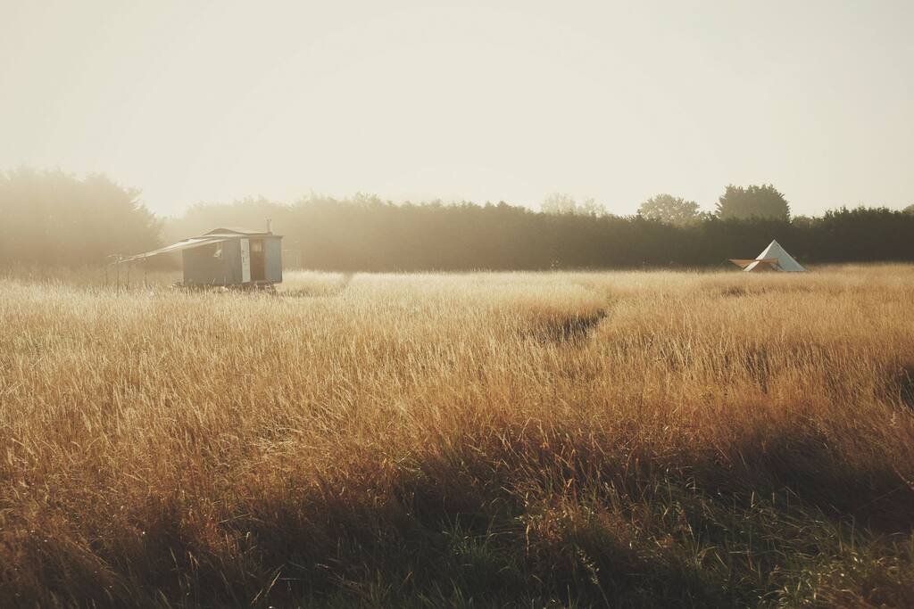 Misty mornings