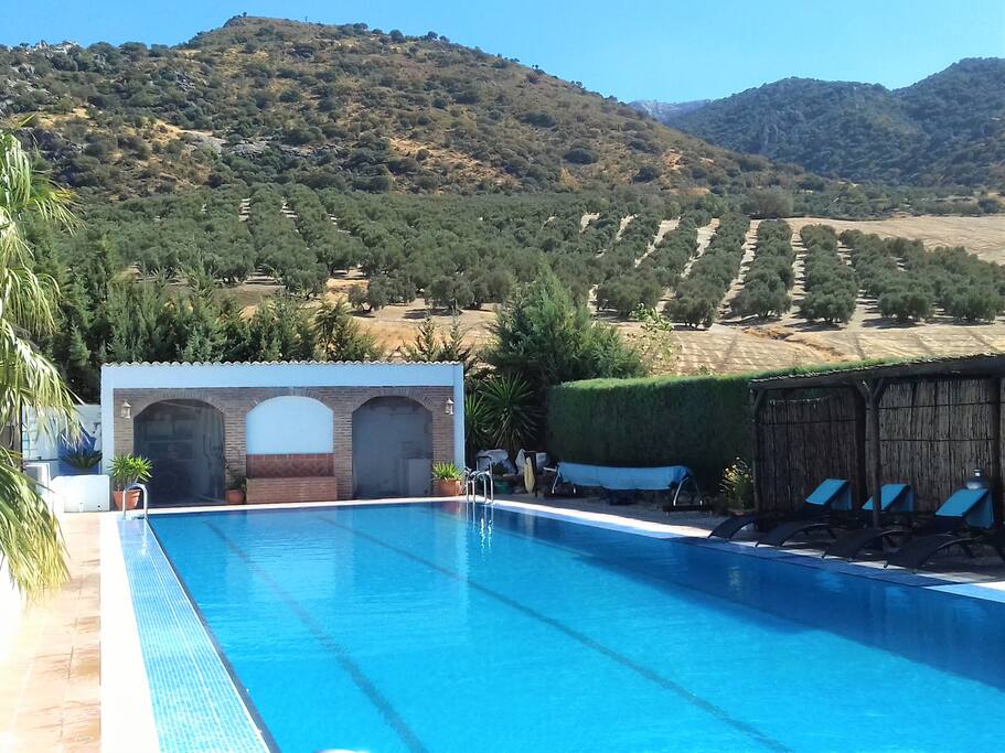 heated 25 metres pool