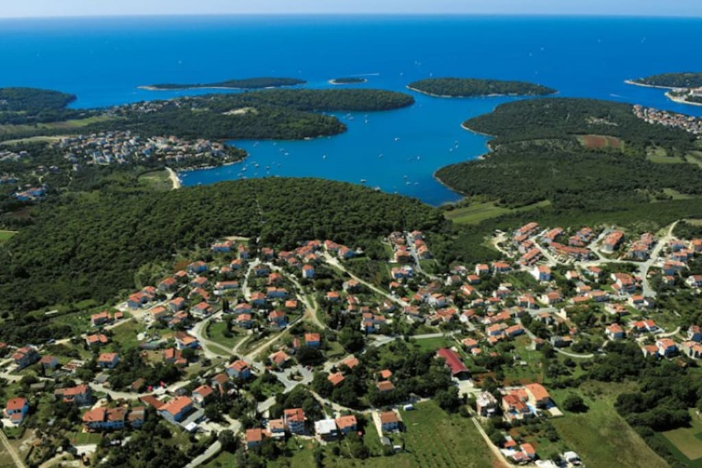 vinkuran