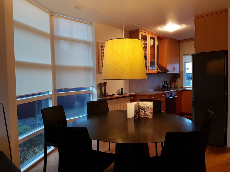 Open kitchen and dining area